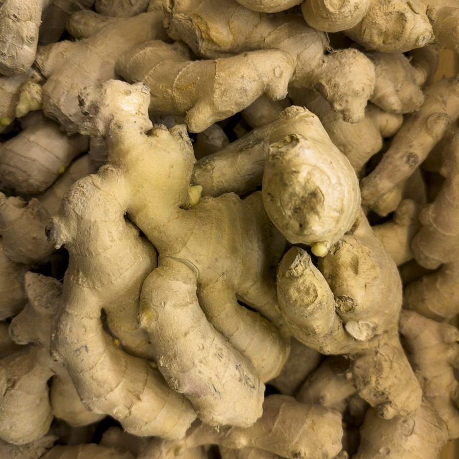 Fresh Ginger