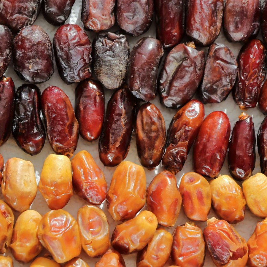 Mabroom Dates