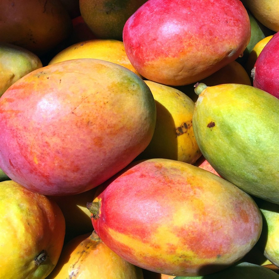 Red Blush Mango